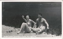 Underwater Swimmers in Silver Springs Postcard