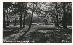 Evening at Silver Springs, Florida Postcard