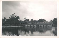 Glass-Bottom Boats at Silver Springs, Florida Postcard