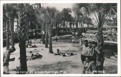Beach Scene at Silver Springs, Florida Postcard