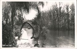 Downstream View with Glass-Bottom Boat, Silver Springs Postcard