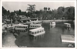 Glass-Bottom Boats at Silver Springs, Florida Postcard