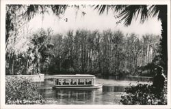 Glass-Bottom Boat Tour, Silver Springs, Florida Postcard