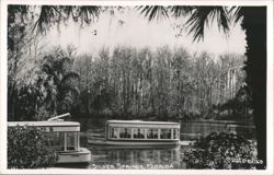 Glass Bottom Boats at Silver Springs, Florida Postcard