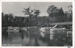 Glass Bottom Boats at Silver Springs, Florida Postcard