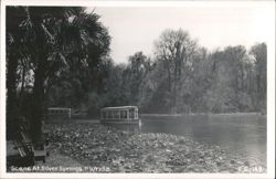 Glass-Bottom Boats at Silver Springs, Florida Postcard