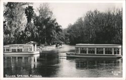 Glass Bottom Boats at Silver Springs, Florida Postcard