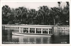 Glass Bottom Boat Tour, Silver Springs, Florida Postcard
