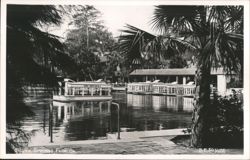 Glass Bottom Boat Tour, Silver Springs, Florida Postcard