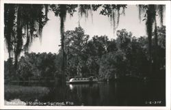 Glass-Bottom Boat on Rainbow River, Florida Postcard
