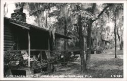 Cabins at the Lodge, Rainbow Springs, Florida Postcard