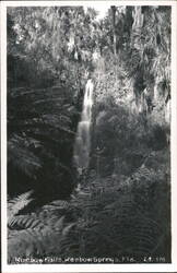 Rainbow Falls at Rainbow Springs, Florida Postcard