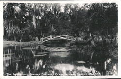 Wooden Footbridge over Juniper Springs, Ocala National Forest Postcard