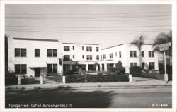 Tangerine Hotel, Brooksville, FL Postcard