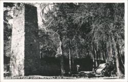 David Yulee Sugar Mill Ruins, Homosassa, FL Postcard