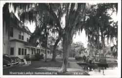 Riverside Lodge on the Homosassa River, Florida Postcard