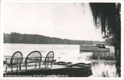 Homosassa River Boat and Dock Scene, Florida Postcard