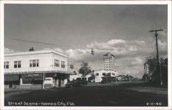 Haines City Florida Main Street View Postcard