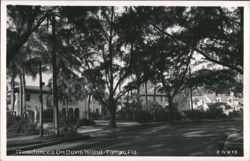 Residences on Davis Islands, Tampa, Florida Postcard