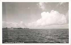 Lake Eustis Scenic View, Florida Postcard
