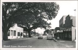 Bushnell, Florida Street Scene with Dade Pharmacy and Economy Market Postcard