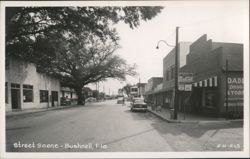 Bushnell Florida Main Street View with Dade Pharmacy Postcard