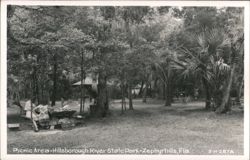 Family Picnic at Hillsborough River State Park Postcard