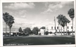 Trailways Bus Terminal on a Sunny Day in Williston, FL Postcard