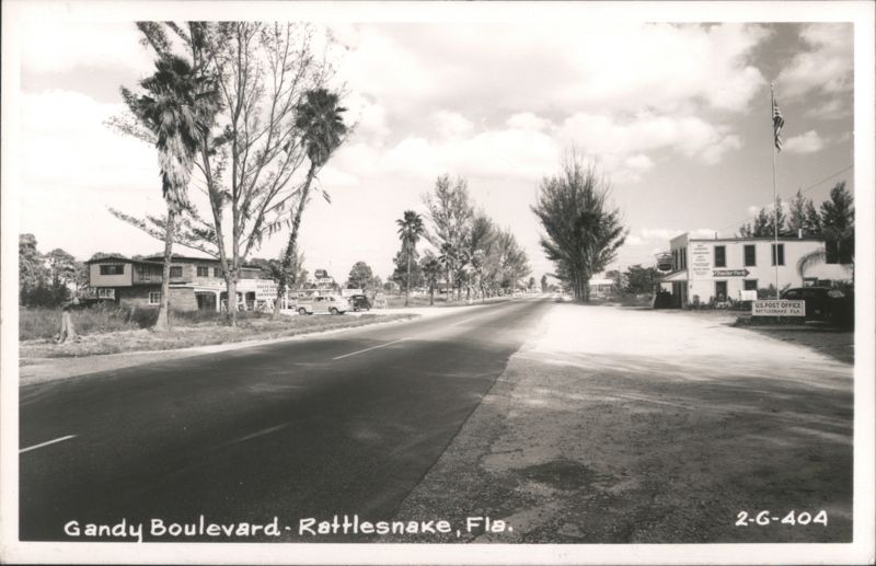 Gandy Boulevard, Rattlesnake, Florida