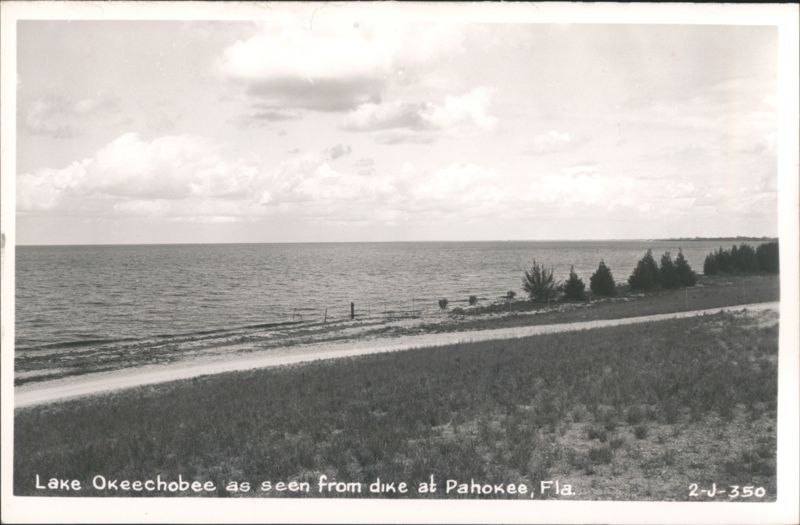 Lake Okeechobee from Dike at Pahokee Florida