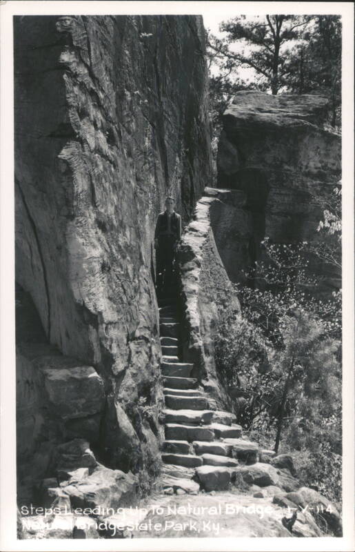 Steps Leading Up To Natural Bridge Kentucky