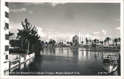 Scene On Beautiful Indian Creek Postcard