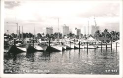 City Yacht Basin, Miami, Florida Postcard