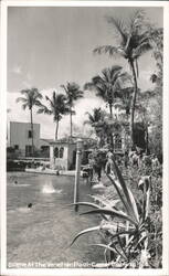 Scene At The Venetian Pool Postcard