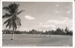 Municipal Golf Course Postcard