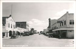 Street Scene, Homestead Florida Postcard