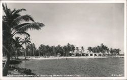 Matheson Hammock Bathing Beach Postcard