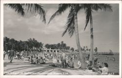 The Beach At Matheson Hammock Postcard