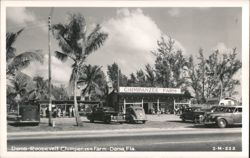 Denis-Roosevelt Chimpanzee Farm Postcard