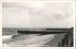 Jetty at Baker's Haulover Postcard