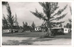Trailer Park in Everglades, Florida Postcard