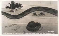 Rattlesnake at Jerrie's Gift Shop and Joe's Juice Bar Postcard