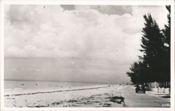 Beach Scene, Indian Rocks, Florida Postcard