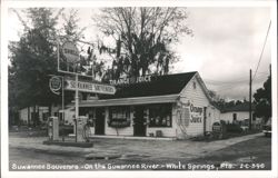 Suwannee Souvenirs and Shell Gas Station Postcard