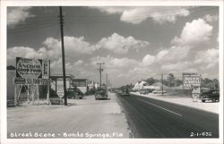 Street Scene, Bonita Springs, Florida Postcard