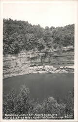 Montlake, Tennessee Postcard