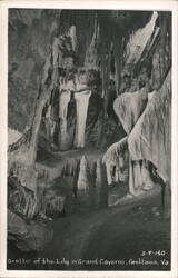 Grotto of the Lily, Grand Caverns Postcard