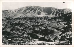 Mt. Le Conte, Great Smoky Mountains National Park Postcard