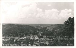 Bird's Eye View of Collinsville Postcard