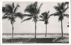 Lummus Park and Beach Postcard